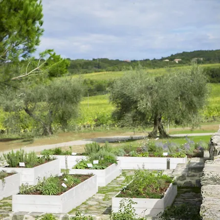 Hotel Foresteria Podere Brizio
